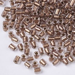 8/0 Glasstiftperlen&nbsp;SEED-S032-06A-02