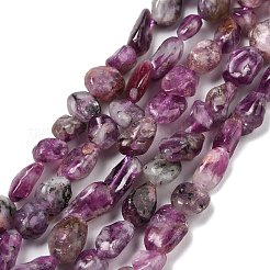 Natürliche Lepidolith / lila Glimmer Steinperlen Stränge&nbsp;G-S383-01