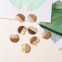 Pendentifs en résine & en bois&nbsp;RESI-CJ0001-57