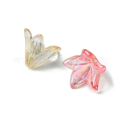 Transparentes bouchons acrylique de perles&nbsp;OACR-FS0001-49