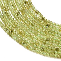 Natürlichen Peridot Perlen Stränge&nbsp;G-A322-A07-2mm