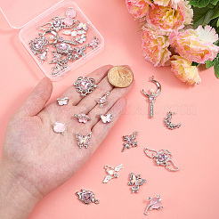 Anhänger- und Verbindungsstück-Sets aus Legierungsharz und Glas&nbsp;DIY-PH0034-79