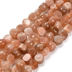Natürliche sunstone Perlen Stränge&nbsp;G-P568-C19-01