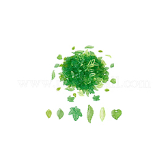 240pcs 6 Arten transparente Acrylanhänger&nbsp;TACR-GA0001-11