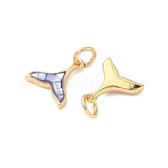 Ciondoli in ottone placcato e conchiglia&nbsp;KK-I357-11G