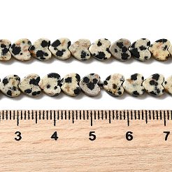 Natur Dalmatiner Jaspis Perlen Stränge&nbsp;G-A272-A01-32