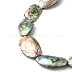 Paua naturale perline shell fili&nbsp;SHEL-F006-03