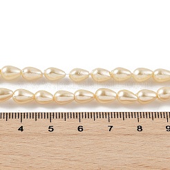 Polierte Muschelperlenstränge&nbsp;BSHE-L042-A06