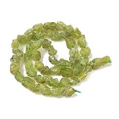 Rohe grobe natürliche Peridotperlenstränge&nbsp;G-M453-D12