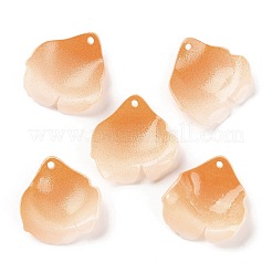 Opake Acryl Anhänger&nbsp;SACR-D007-01C-02