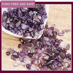 Natürliche Amethyst-Chips-Perlen&nbsp;G-GA0001-19