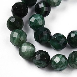 Brins de perles fuchsite naturelles&nbsp;G-S345-10mm-33