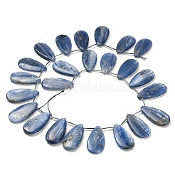 Natürliche kyanite Perlen Stränge&nbsp;G-H335-E01-10x30mm