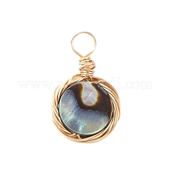 Natürliche Abalone Muschel / Paua Muschel Anhänger&nbsp;PALLOY-JF00457-01