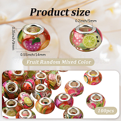 100 Stück Harz mit Polymer Clay im Inneren europäischer Perlen&nbsp;RESI-PA0001-14B
