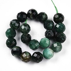 Brins de perles fuchsite naturelles&nbsp;G-S345-10mm-33