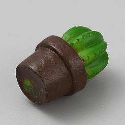 Ornamenti in miniatura di cactus&nbsp;LS-DJEW-CJC0005-01D