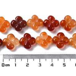 Natürlichen Karneol-Perlen Stränge&nbsp;G-M418-D02-01