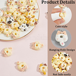 Colgantes de resina 36pcs&nbsp;FIND-SC0020-23