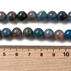 Perline apatite naturale fili&nbsp;G-D340-A02-8mm