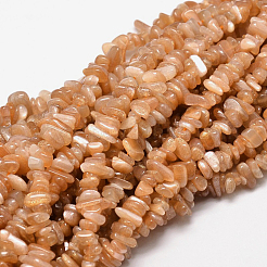 Natürliche sunstone Chip-Perlen Stränge&nbsp;G-E271-87