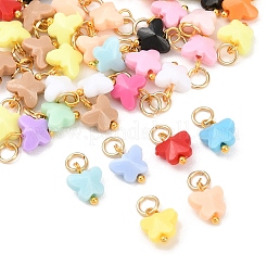 50 Stück Schmetterlingsanhänger aus undurchsichtigem Acryl&nbsp;PALLOY-YW00148