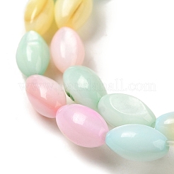 Fili di perline di conchiglia d'acqua dolce naturali tinti di colore arcobaleno&nbsp;SHEL-G018-02H