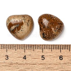 Natur Bildjaspisses cabochons&nbsp;G-F776-02A-17