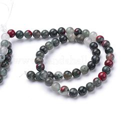 Naturali africane perline Bloodstone fili&nbsp;G-R345-10mm-50