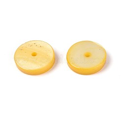 Naturali di acqua dolce perline shell fili&nbsp;SHEL-N037-03A-06