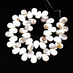 Eau douce naturelle de coquillage perles brins&nbsp;SHEL-Q024-008