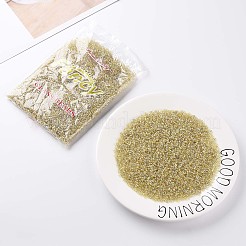 8/0 perles de rocaille en verre&nbsp;LS-X1-SEED-A007-3mm-162