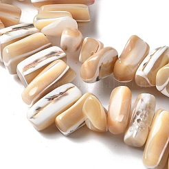 Brins de perles de trocas naturelles teintes&nbsp;SSHEL-C013-09K