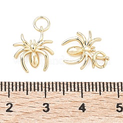 Messing Anhänger & Charms&nbsp;KK-C251-23G