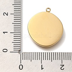 Pendentifs en acier inoxydable 304 avec placage ionique (IP)&nbsp;STAS-P371-100G
