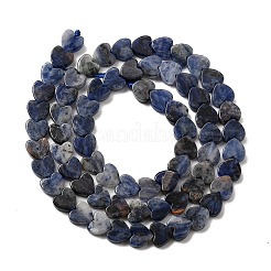 Natur Sodalith Perlen Stränge&nbsp;G-A272-A01-31
