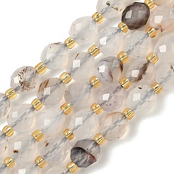 Brins de perles d'agate dendritique naturelle&nbsp;G-F809-A53-01
