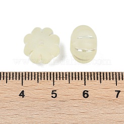 Gefrostet transparent Acrylperlen&nbsp;OACR-P029-03B-03