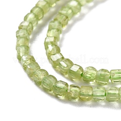 Natürlichen Peridot Perlen Stränge&nbsp;G-K312-07A