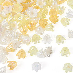 Acrylique coupelles&nbsp;OACR-TA0014-45D
