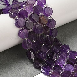 Natürlichen Amethyst Perlen Stränge&nbsp;G-P534-A13-01
