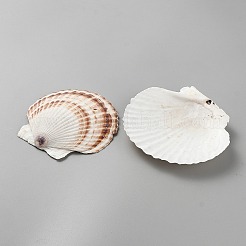 Schmuckplatte aus natürlicher Muschel&nbsp;AJEW-WH0596-488D