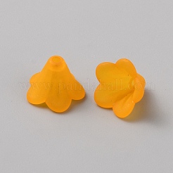 Perline acrilico trasparente&nbsp;FACR-WH0002-02