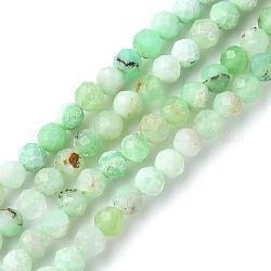 Hebras naturales de perlas de crisoprasa, facetados, redondo, 4mm, agujero: 0.8~1 mm, aproximamente 103~105 pcs / cadena, 15.35~15.55 pulgada (39~39.5 cm)