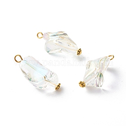 Pendentif perles acryliques transparentes, avec accessoire en fer, pépites, clair, 31x15x13mm, Trou: 3mm