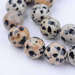 Natur Dalmatiner Jaspis Perlen Stränge, Runde, 6~6.5 mm, Bohrung: 1 mm, ca. 58~61 Stk. / Strang, 15.5 Zoll