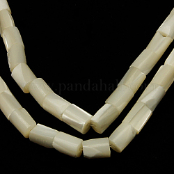 Bianco naturale perline shell fili, perle di madreperla, colonna, bianco, circa 6 mm di larghezza, 14 mm di lunghezza, Foro: 1 mm, 29 pcs/filo, 16 pollice