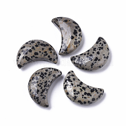 Mondform natürliche dalmatinische Jaspis heilende Kristalltasche Palmensteine, für das Chakra-Balancieren, Schmuckherstellung, Heimtextilien, 30x20.5x9.5 mm