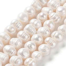 Fili di perle di perle d'acqua dolce coltivate naturali, patata, grado 3 un, bianco antico, 9.5~12.5x9~11mm, Foro: 0.5 mm, circa 34pcs/filo, 13.86'' (35.2 cm)