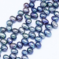 Natural Cultured Freshwater Pearl Beads Strands, Dyed, Potato, Royal Blue, 7~11x7~8mm, Hole: 0.8mm, about 59pcs/strand, 14.7 inch(36cm)